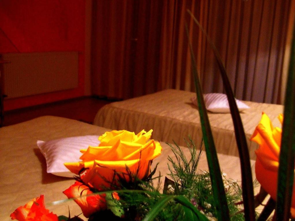 Hotel Ambassador Nagybánya Kültér fotó