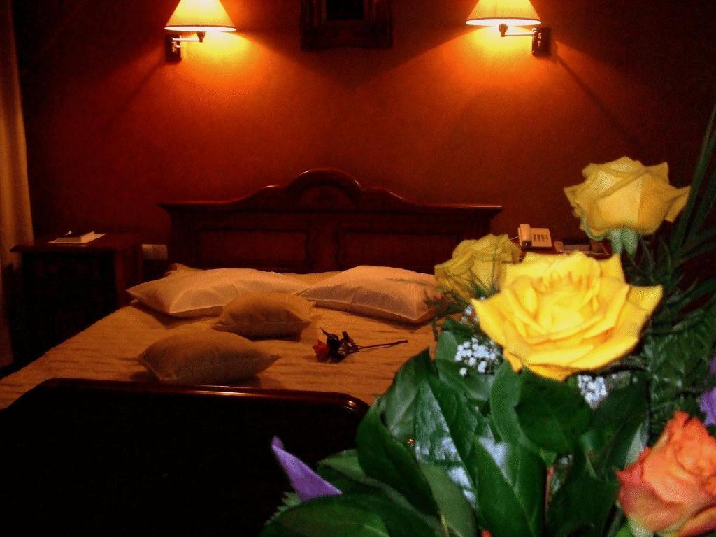 Hotel Ambassador Nagybánya Kültér fotó